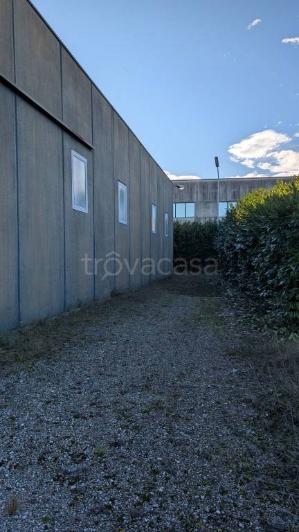 immagine annuncio 4 di 6