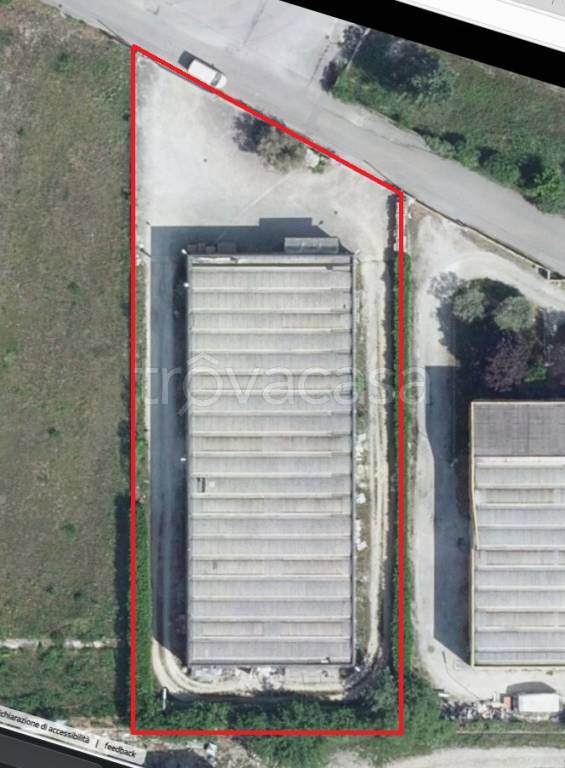 immagine annuncio 5 di 6