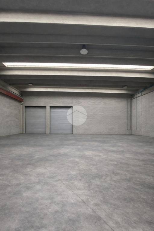 immagine annuncio 3 di 8