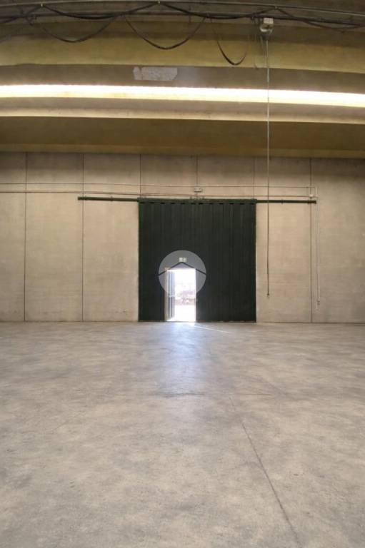 immagine annuncio 4 di 8