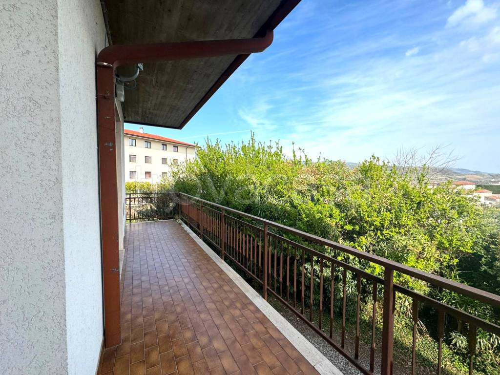 immagine annuncio 2 di 11