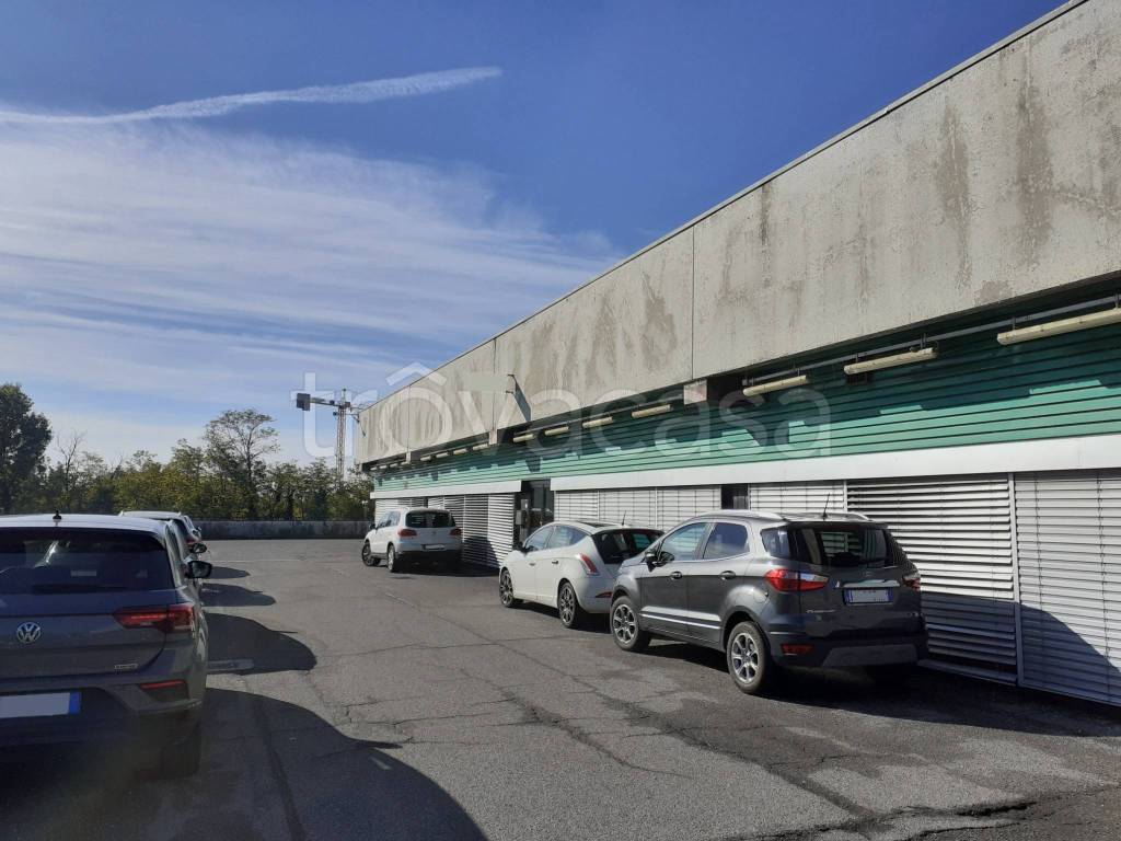 immagine annuncio 1 di 12