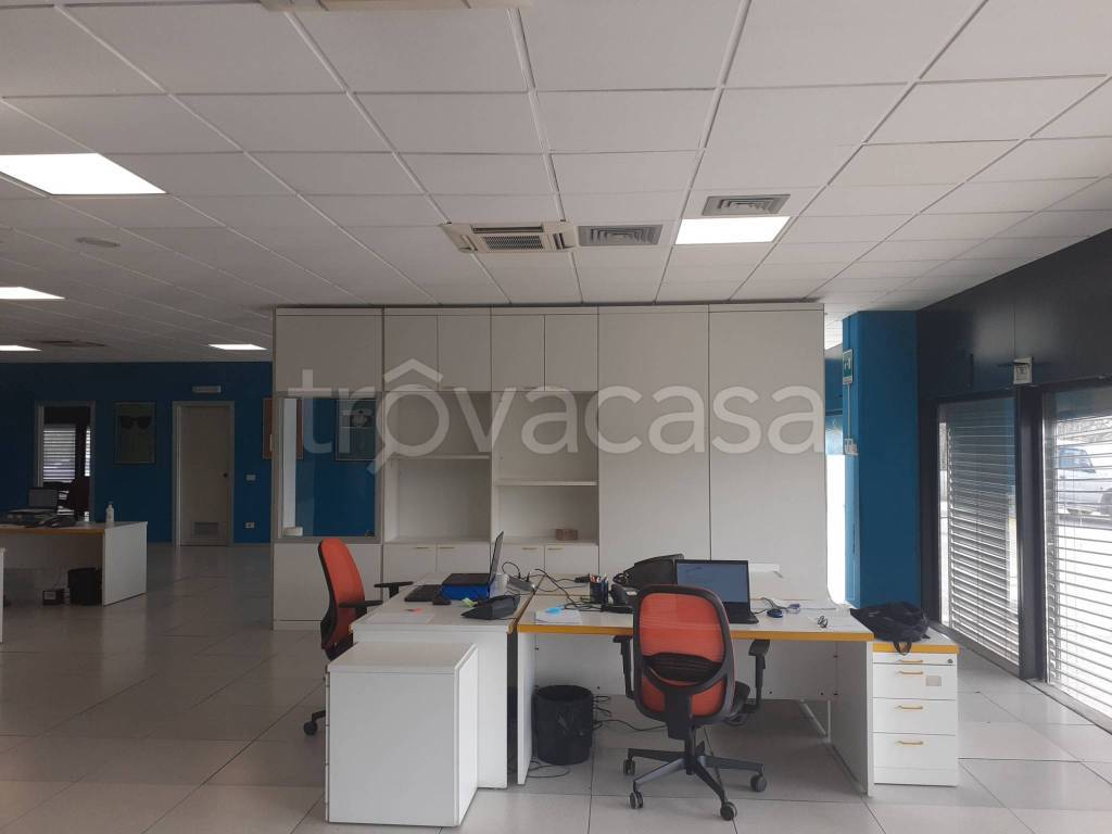 immagine annuncio 3 di 12