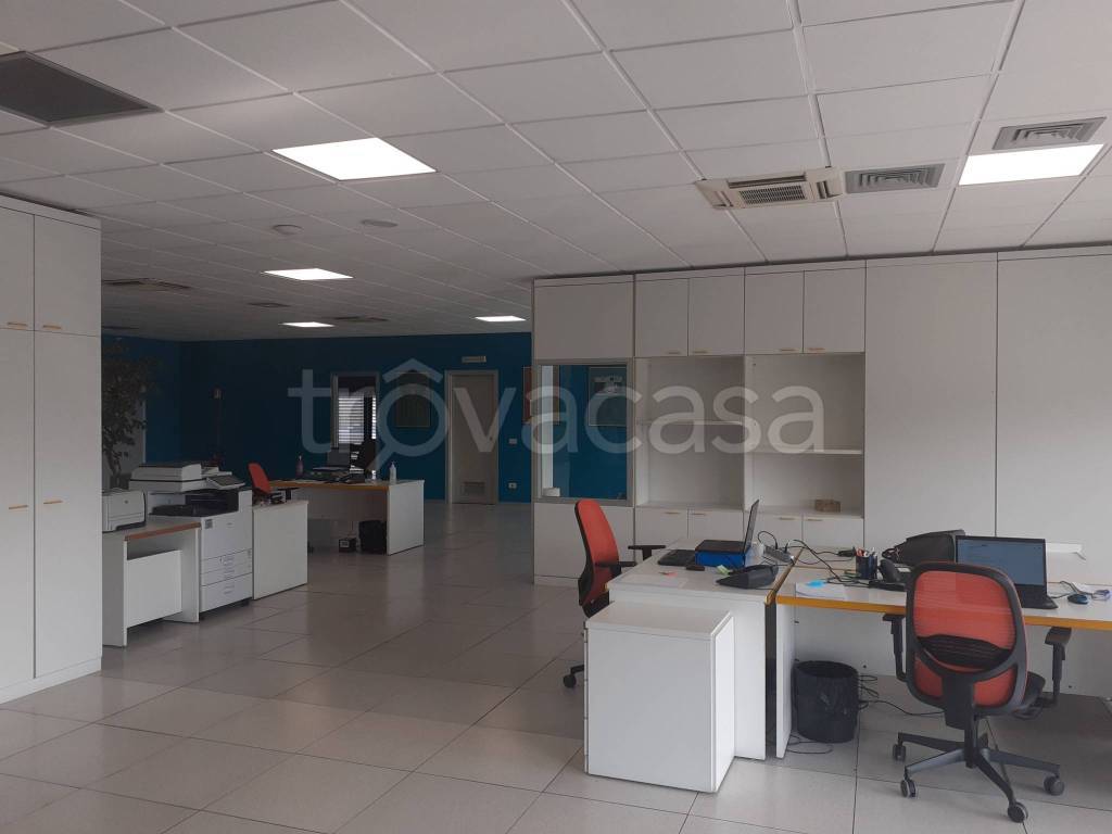 immagine annuncio 4 di 12