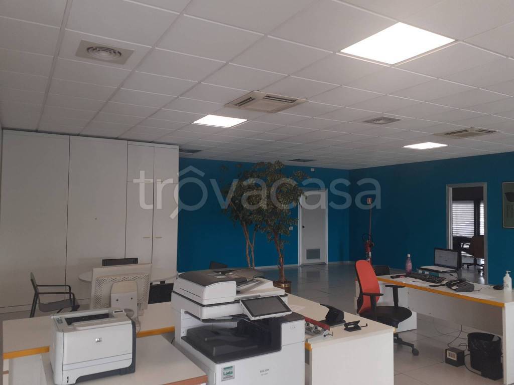 immagine annuncio 5 di 12