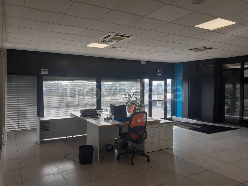 immagine annuncio 6 di 12