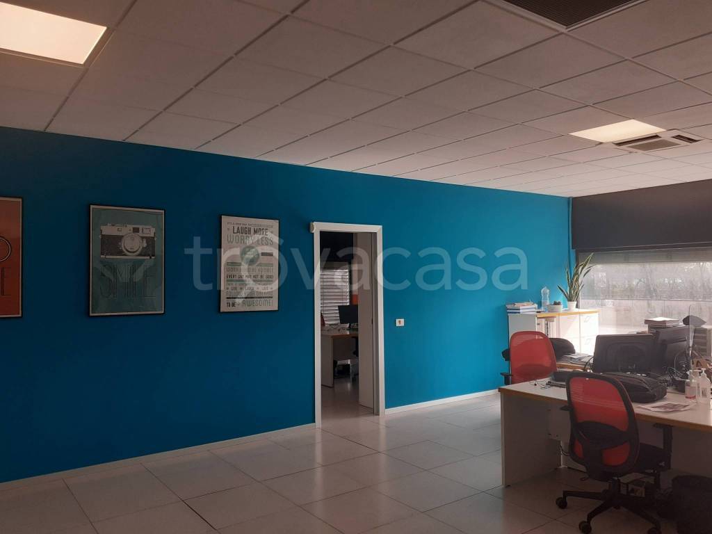 immagine annuncio 7 di 12