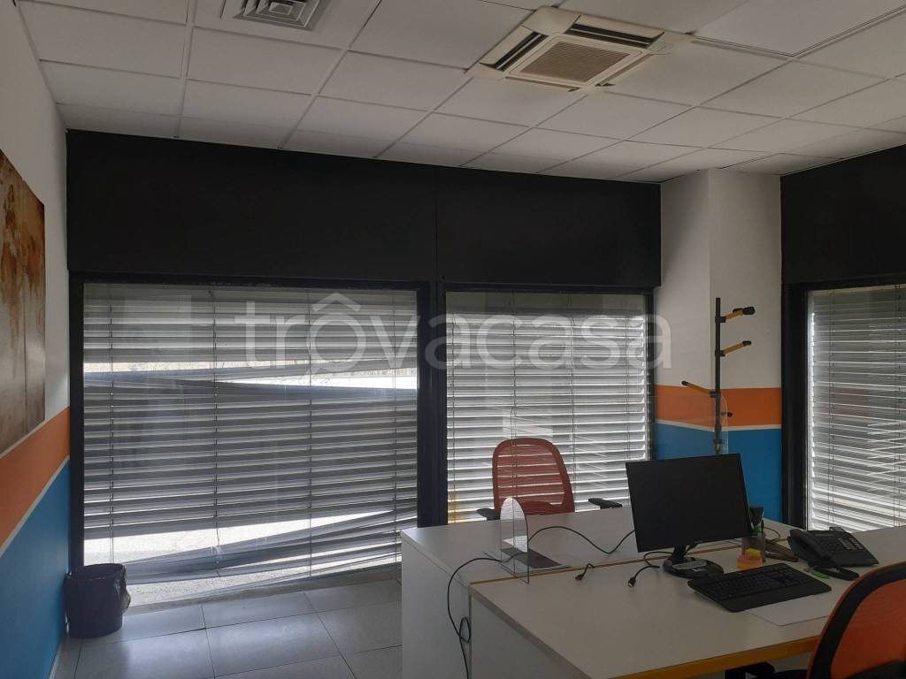 immagine annuncio 8 di 12