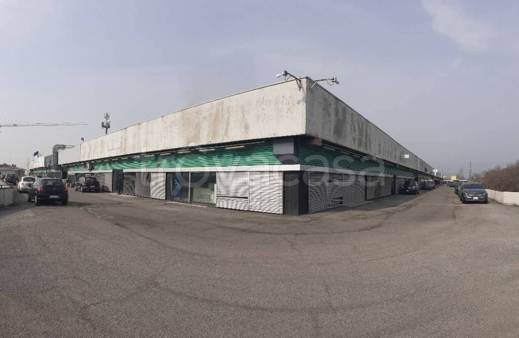 immagine annuncio 10 di 12