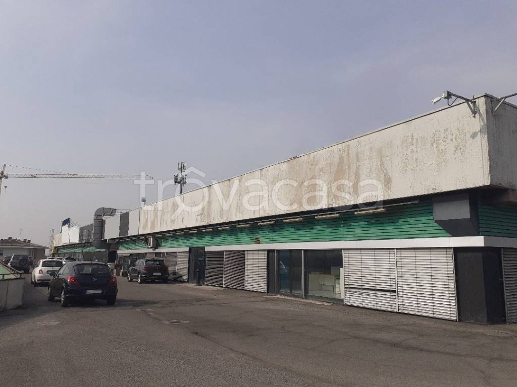 immagine annuncio 11 di 12