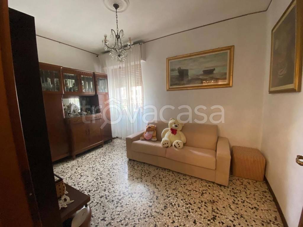 immagine annuncio 3 di 12