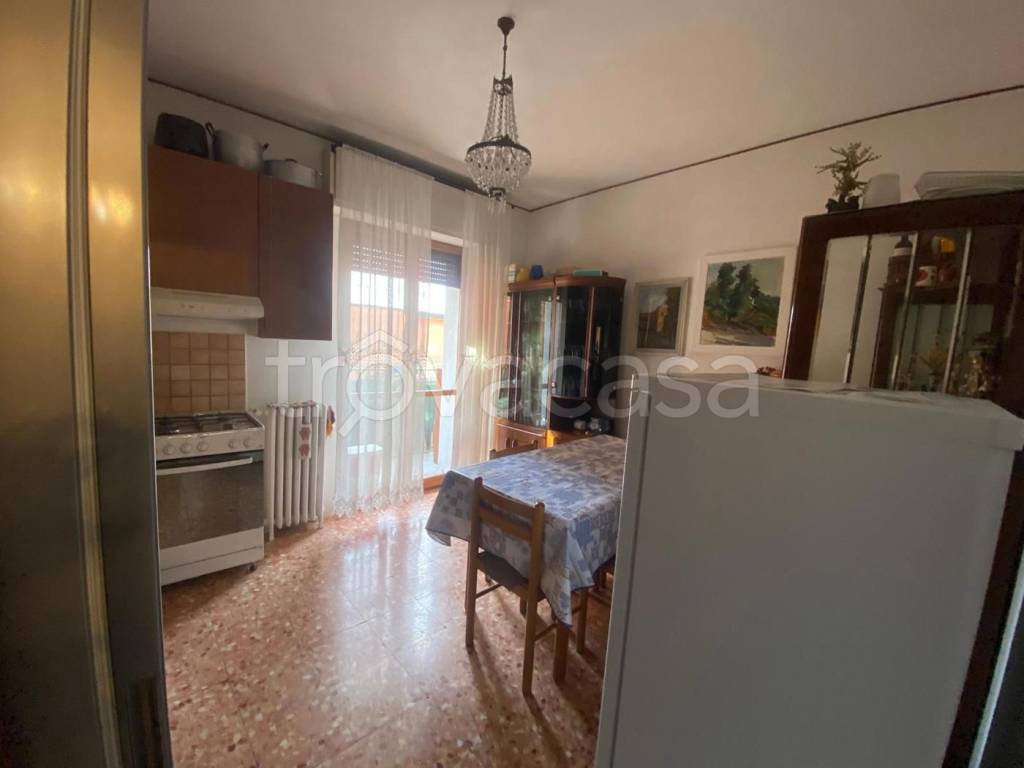 immagine annuncio 5 di 12