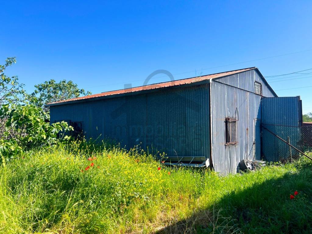 immagine annuncio 3 di 9