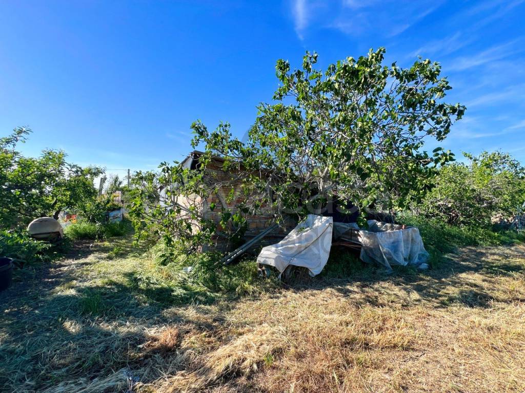 immagine annuncio 5 di 9