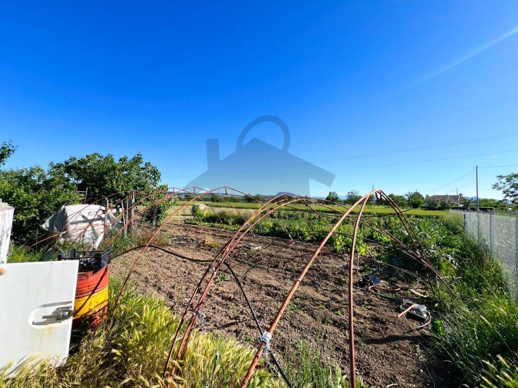 immagine annuncio 6 di 9