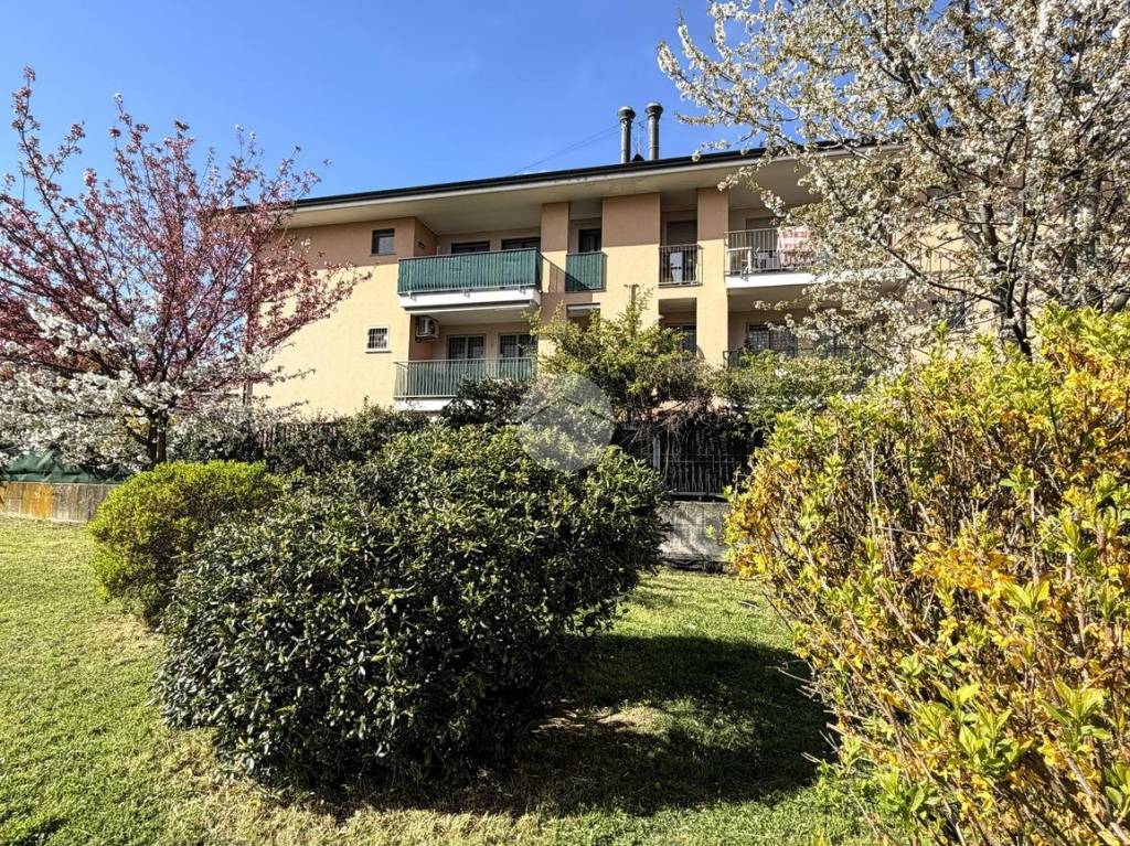 immagine annuncio 1 di 15