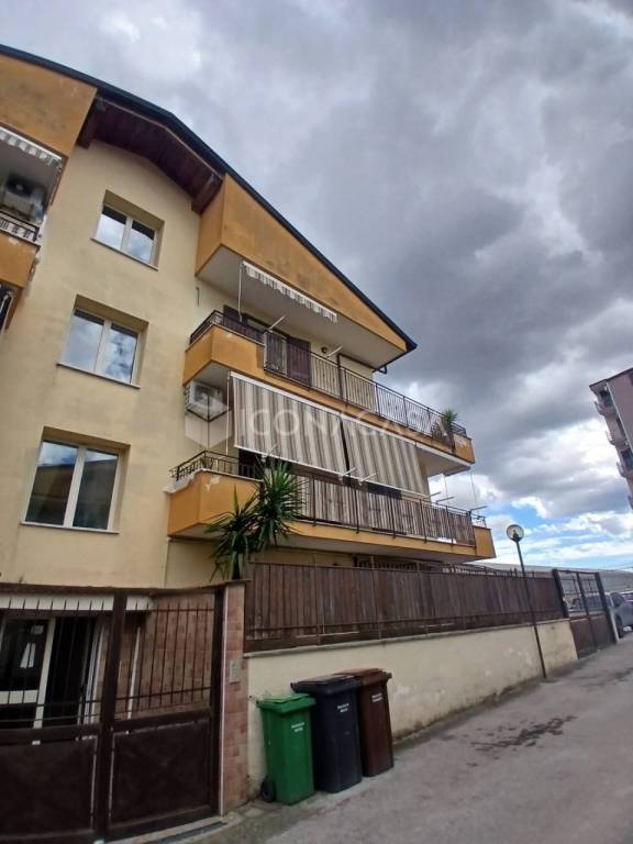 immagine annuncio 3 di 13