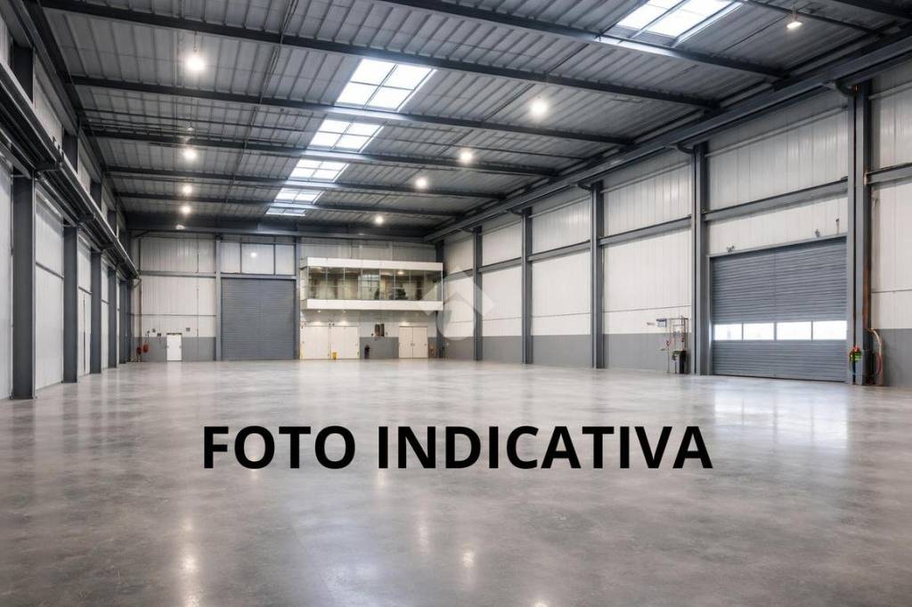 immagine annuncio 1 di 8