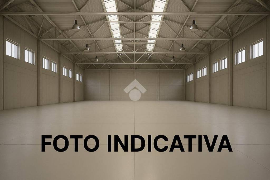 immagine annuncio 2 di 8