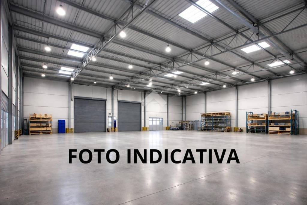 immagine annuncio 3 di 8