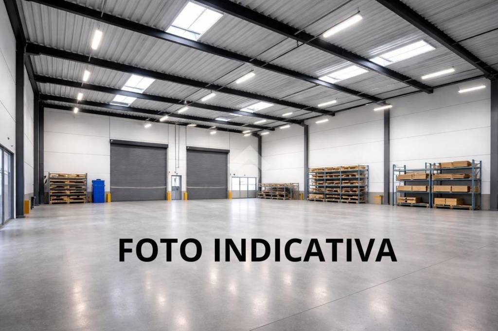 immagine annuncio 5 di 8