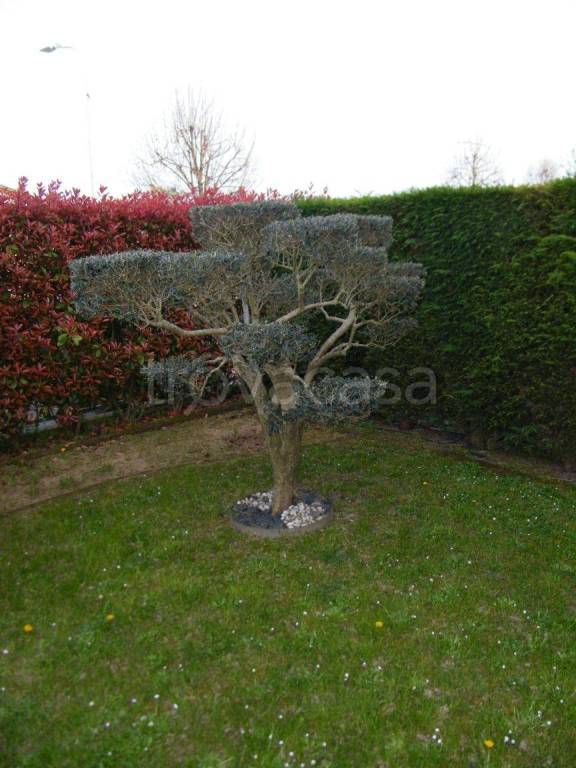 immagine annuncio 9 di 11