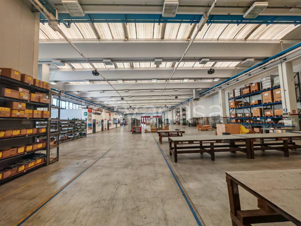 immagine annuncio 6 di 15