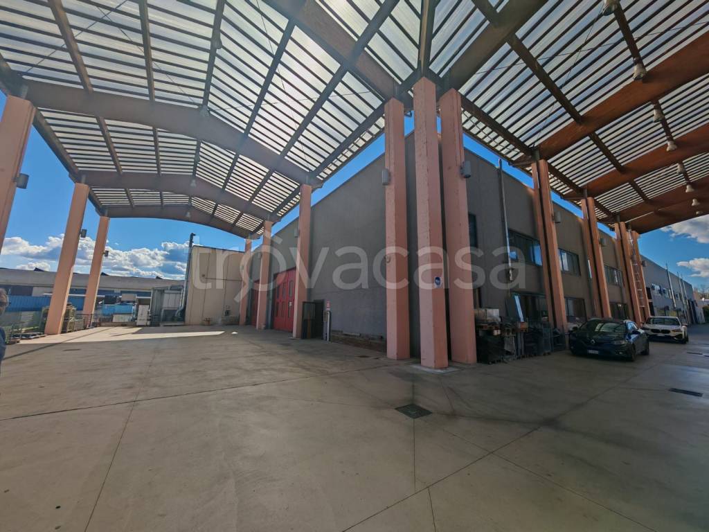 immagine annuncio 12 di 15