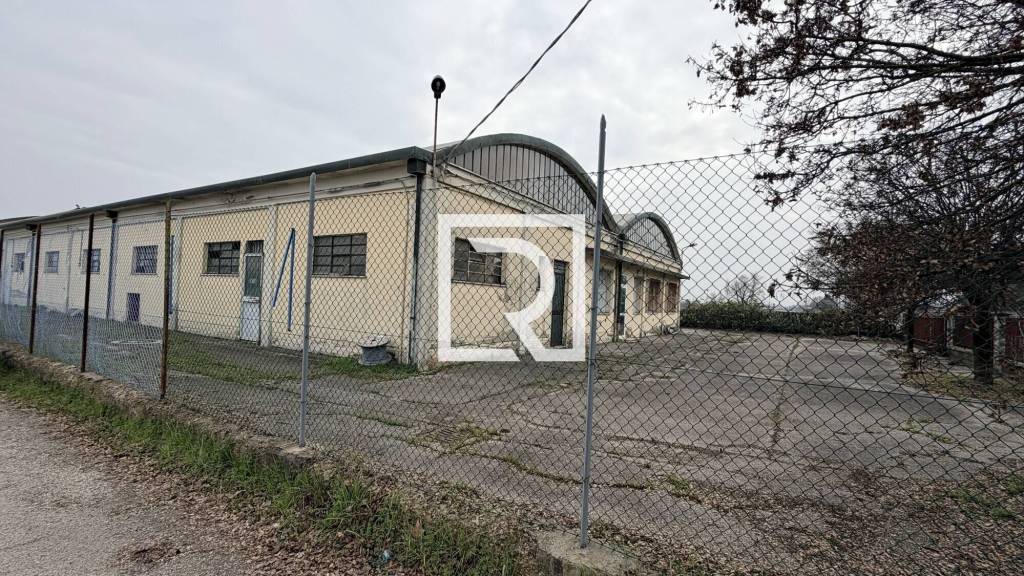 immagine annuncio 1 di 4