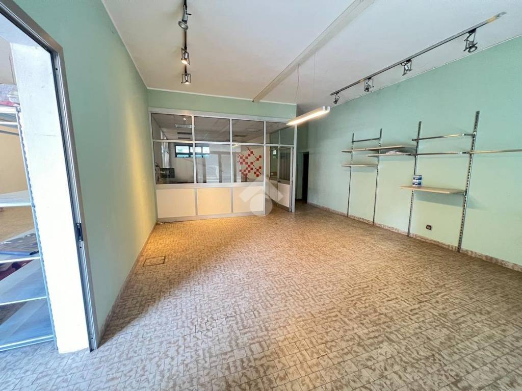 immagine annuncio 4 di 7