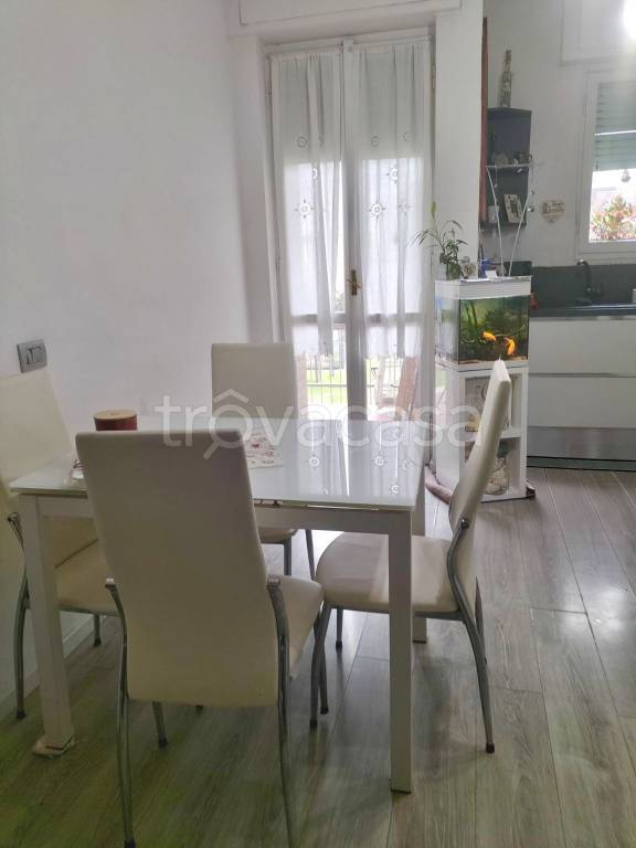 immagine annuncio 4 di 14