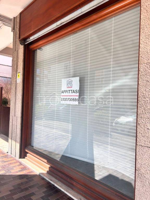 immagine annuncio 5 di 12