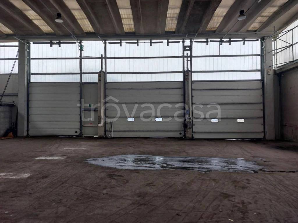 immagine annuncio 2 di 11