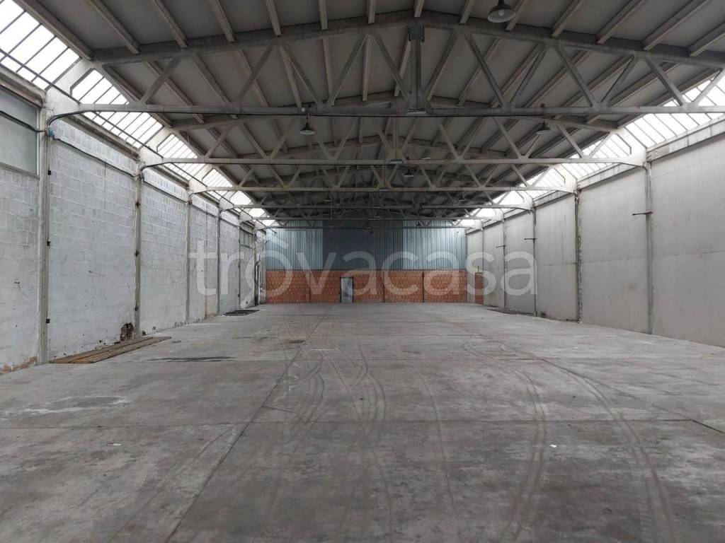 immagine annuncio 3 di 11