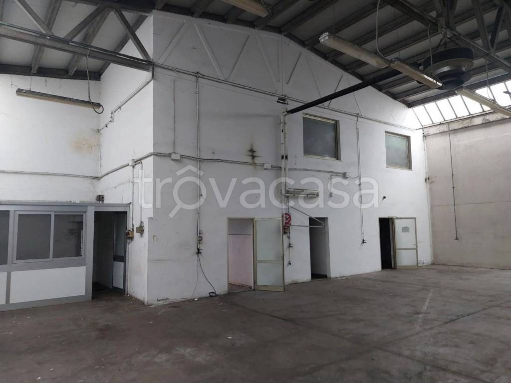 immagine annuncio 5 di 11