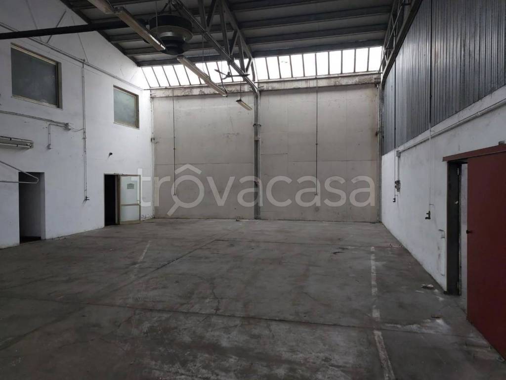 immagine annuncio 6 di 11