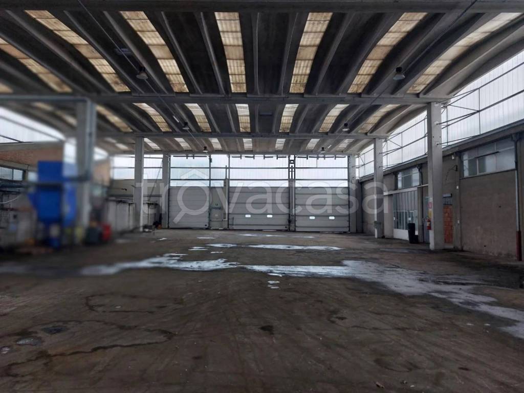 immagine annuncio 9 di 11