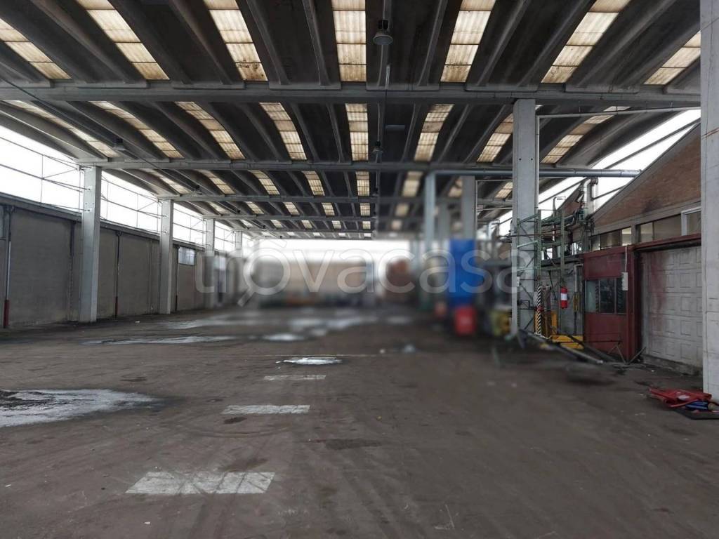 immagine annuncio 10 di 11