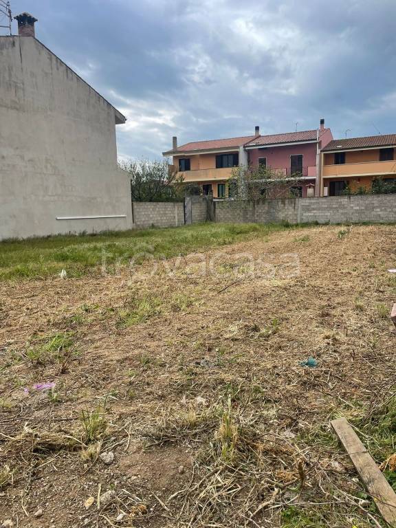 immagine annuncio 1 di 2