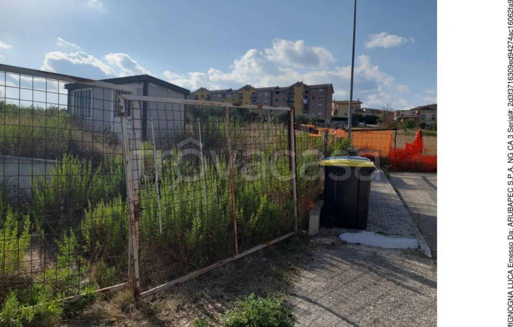 immagine annuncio 2 di 10