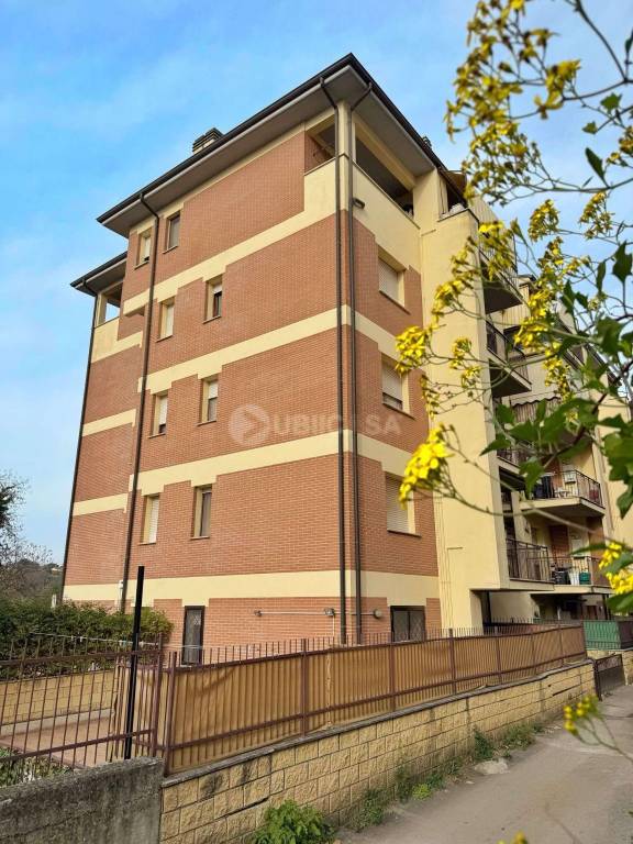 immagine annuncio 11 di 12