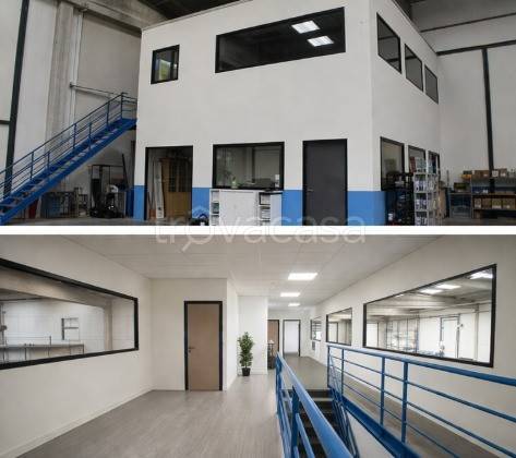 immagine annuncio 4 di 6