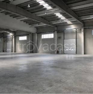 immagine annuncio 2 di 6