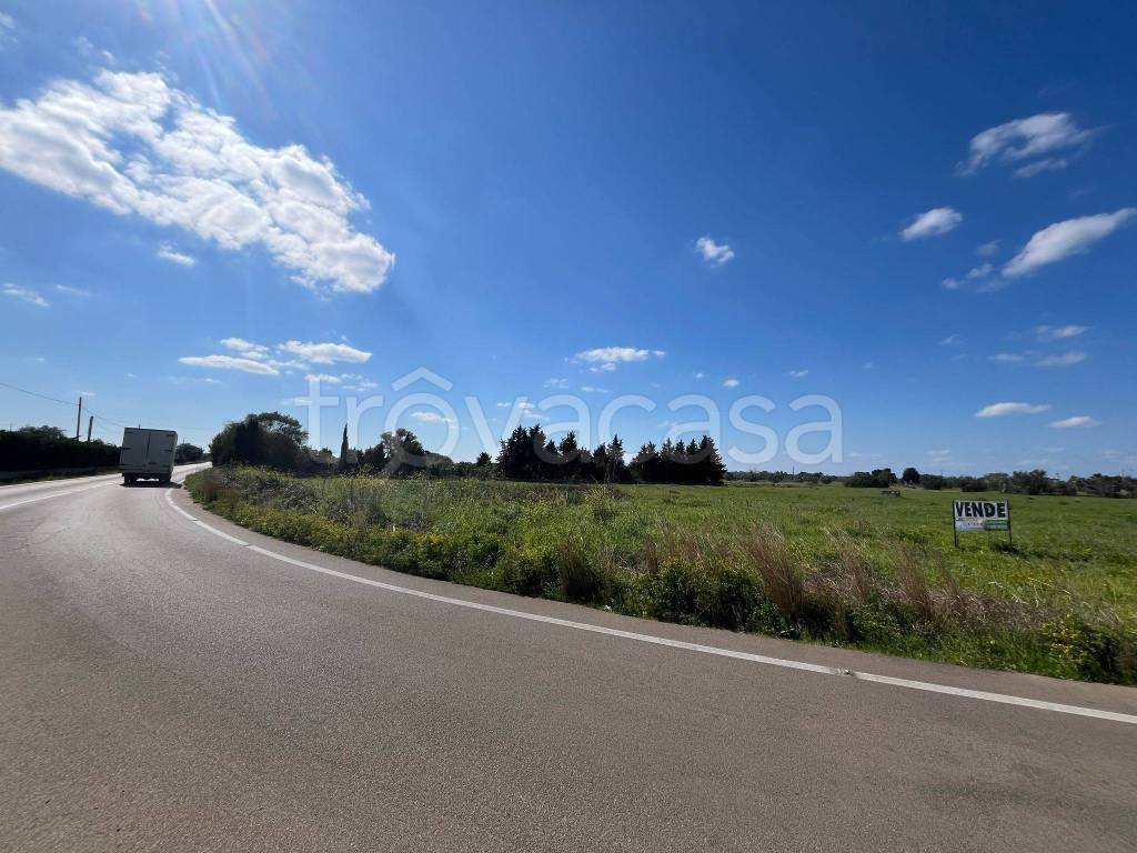 immagine annuncio 4 di 11