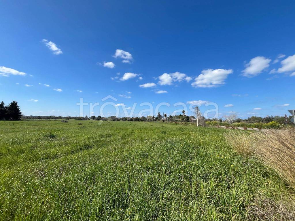 immagine annuncio 5 di 11