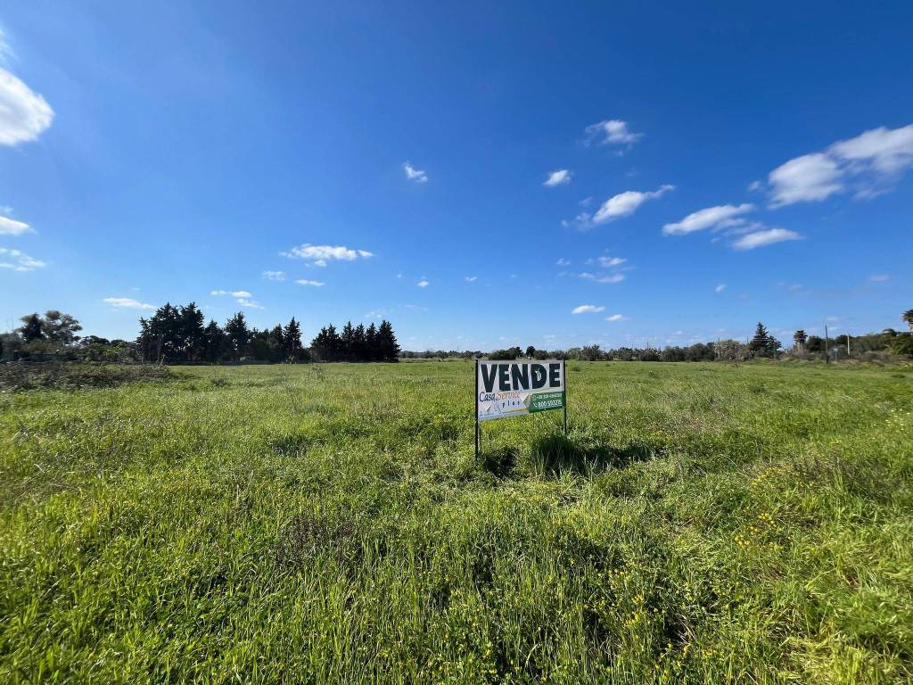 immagine annuncio 7 di 11