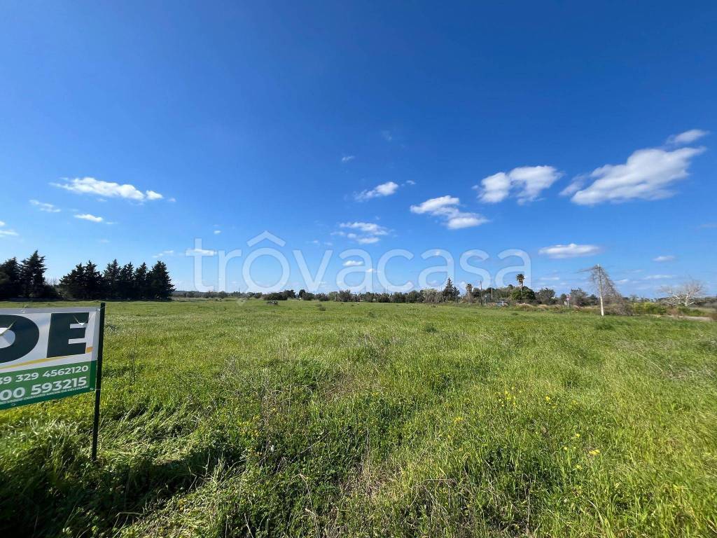 immagine annuncio 8 di 11