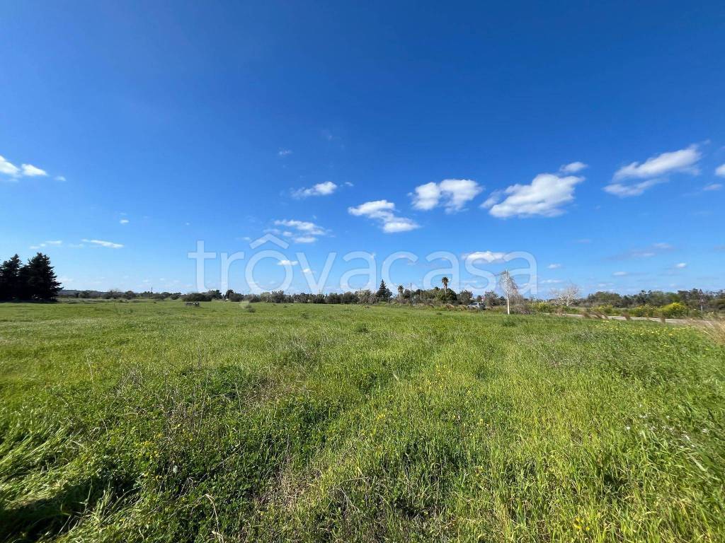 immagine annuncio 9 di 11