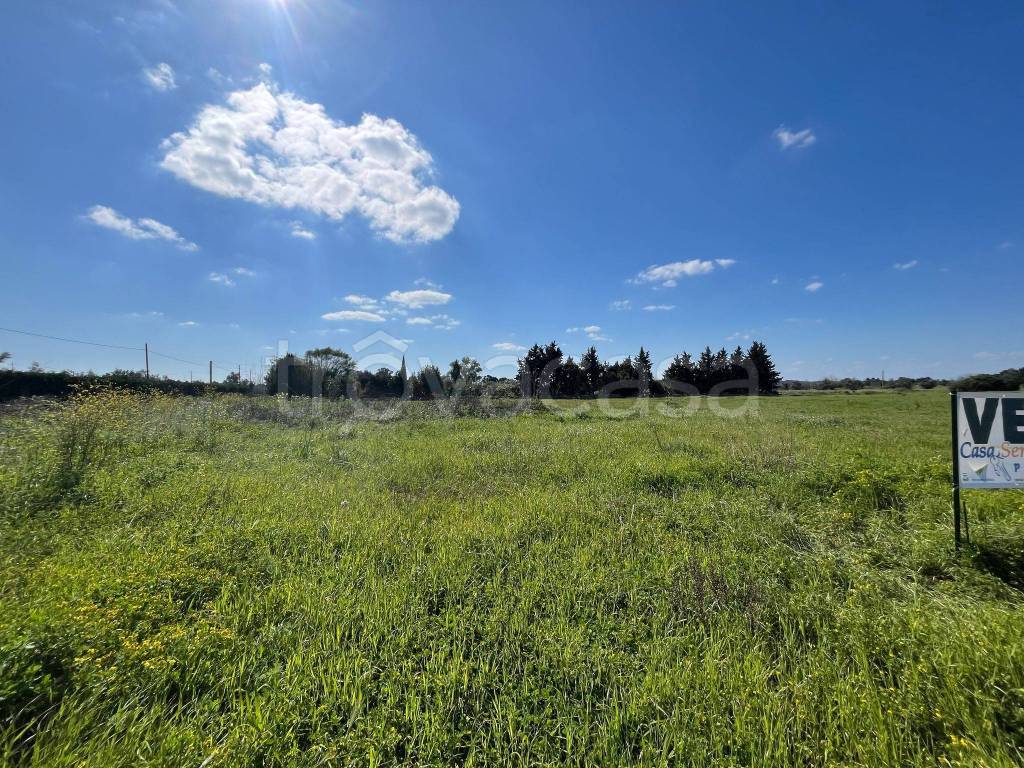 immagine annuncio 10 di 11