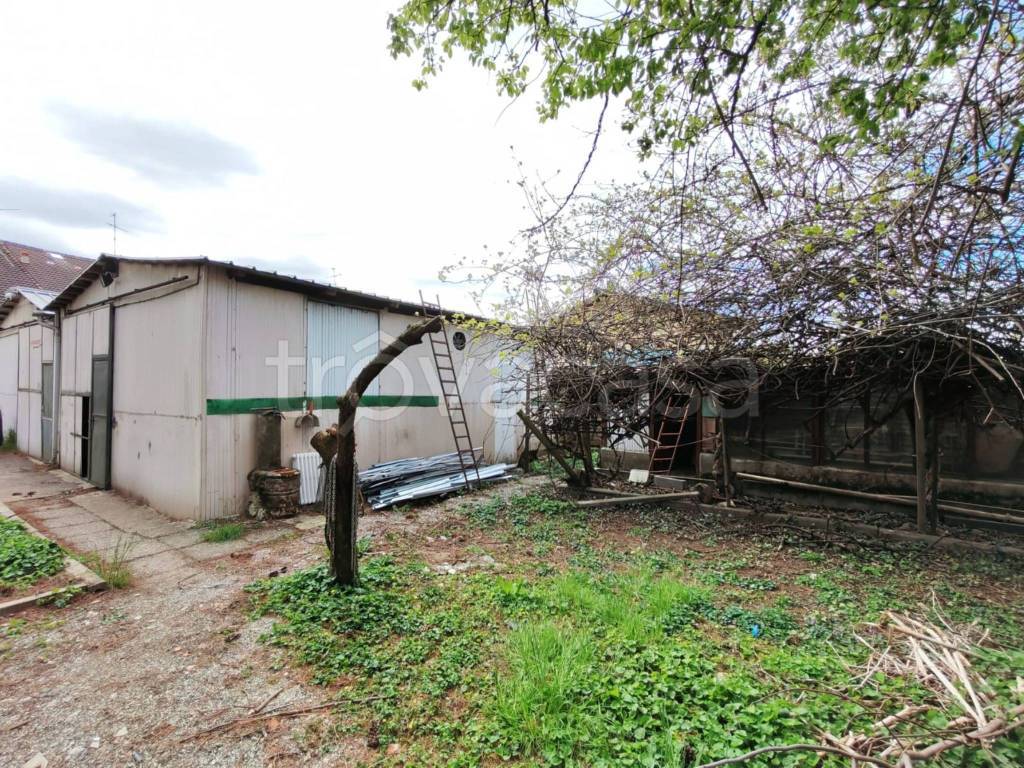 immagine annuncio 9 di 15